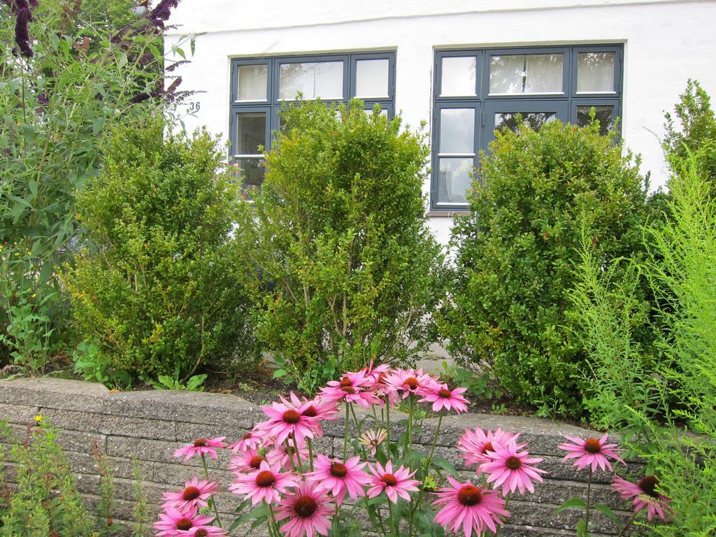Provstegarden Bed & Breakfast Hovedgård Extérieur photo
